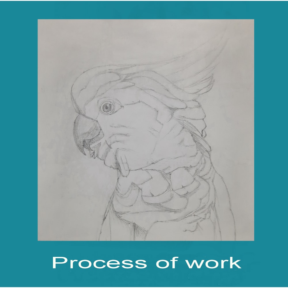 Розовый какаду (4).png