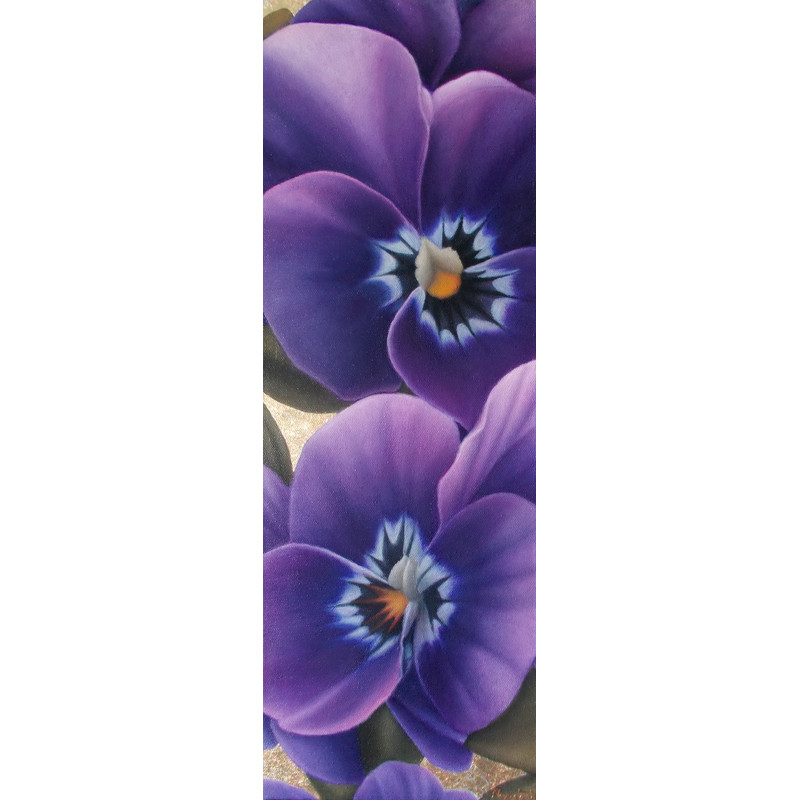 фиол виолы  (3).jpg