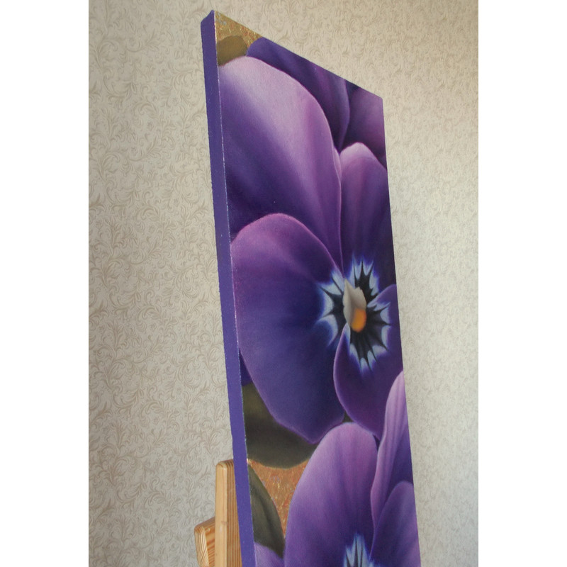 фиол виолы  (1).jpg