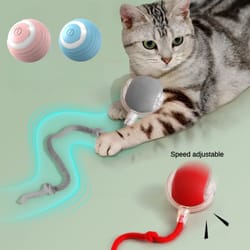 interactive electric cat ball with teaser bird rechargeable smart pet toy