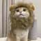 Funny Pets Clothes Hat Cute Cat Wig Lion Mane Costume for Cats & Dogs Cosplay Party Accessories with Ears