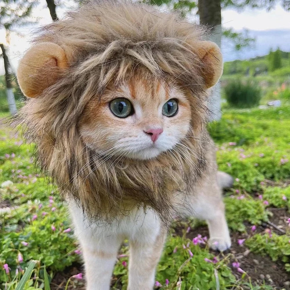 Funny Pets Clothes Hat Cute Cat Wig Lion Mane Costume for Cats & Dogs Cosplay Party Accessories with Ears
