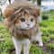 Funny Pets Clothes Hat Cute Cat Wig Lion Mane Costume for Cats & Dogs Cosplay Party Accessories with Ears