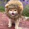 Funny Pets Clothes Hat Cute Cat Wig Lion Mane Costume for Cats & Dogs Cosplay Party Accessories with Ears