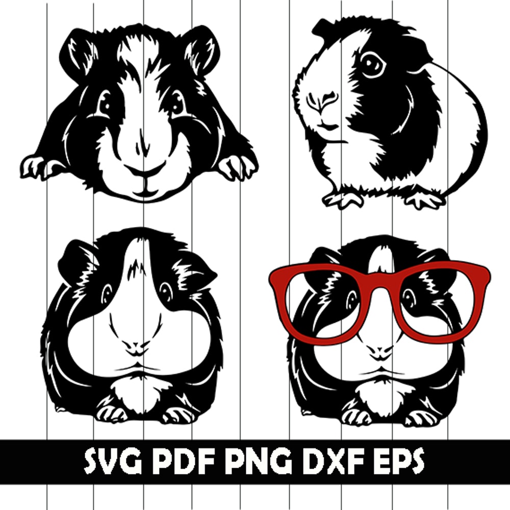 Guinea Pig Svg.jpg