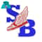 Sb wings shoes Embroidery logo for Hoodie ..jpg