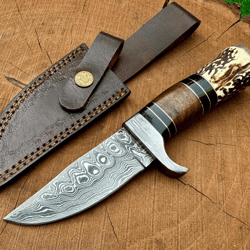 handmade damascus steel hunting knife | 9" stag antler & rosewood handle + leather sheath | outdoor survival gift for hi