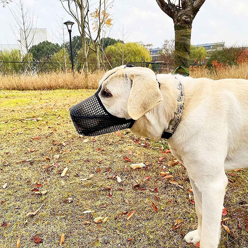 Anti Bite Dog Mesh Mask 1