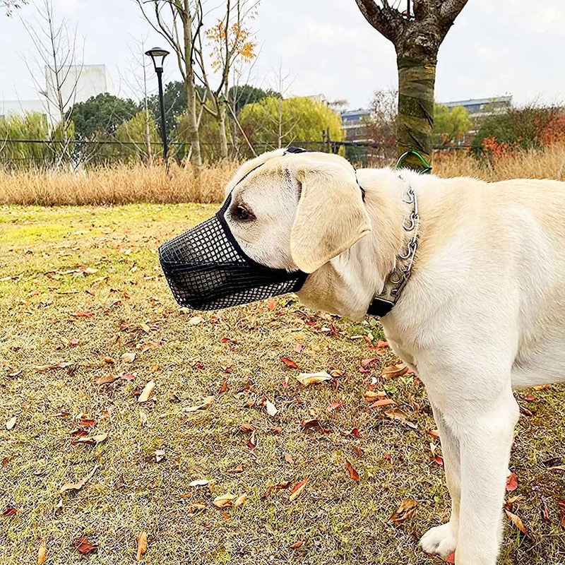 Anti Bite Dog Mesh Mask 1