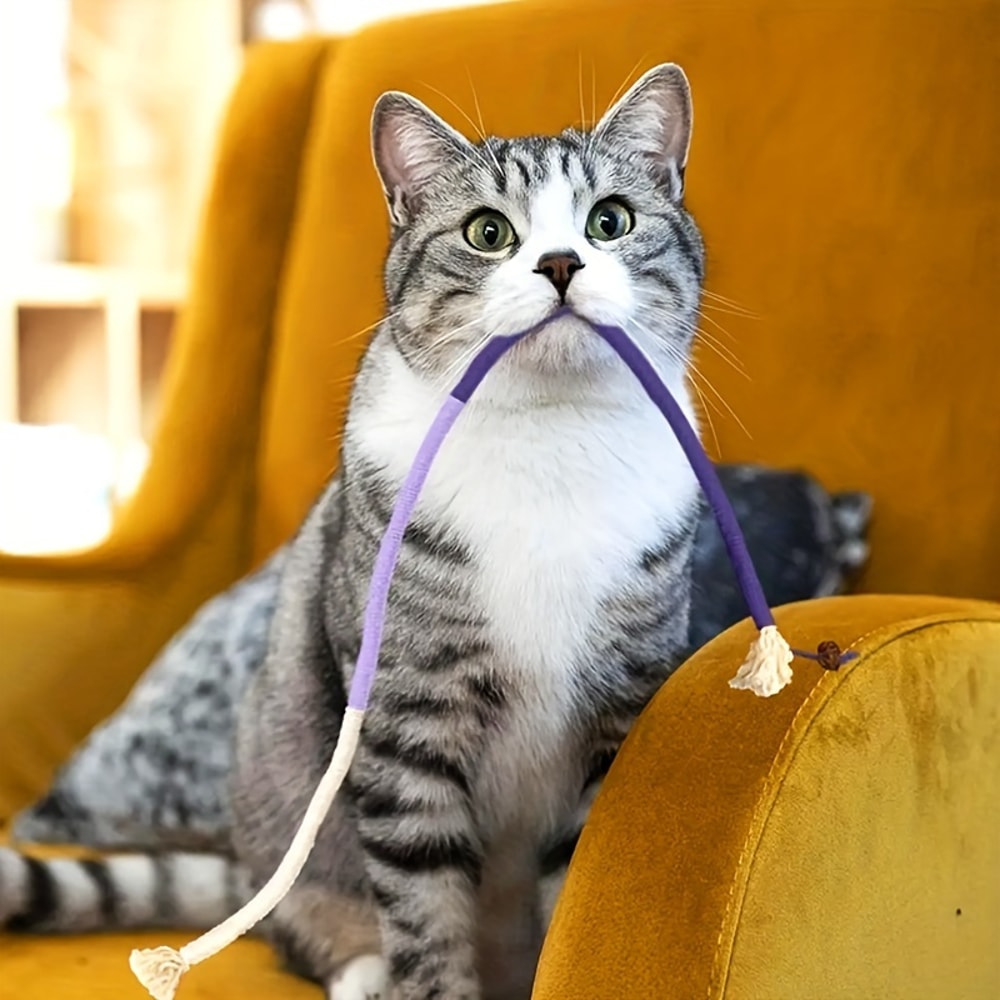 Durable Rope Toy For Cats Puppies Teething Chew Toy For Playful Pets 1