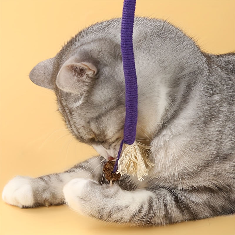 Durable Rope Toy For Cats Puppies Teething Chew Toy For Playful Pets 2