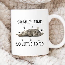 so much time so little to do mug, gifts for cat lovers, cat mom, cat dad, cat coffee ceramic mug, birthday, christmas gi