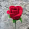 Rose-bud-Graphics-30120974-4-580x387.jpg