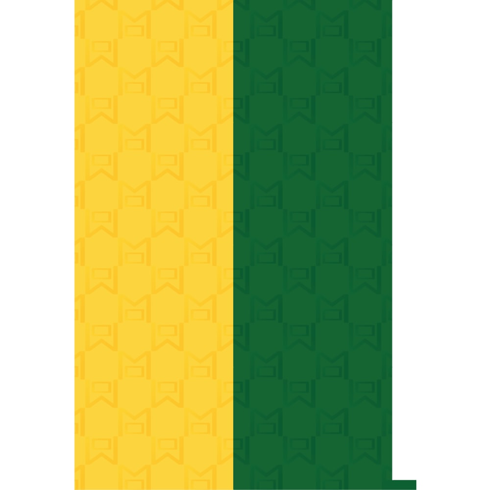 Manchester United Newton Heath Retro 1992 - 1994 Yellow and Green Halves.png