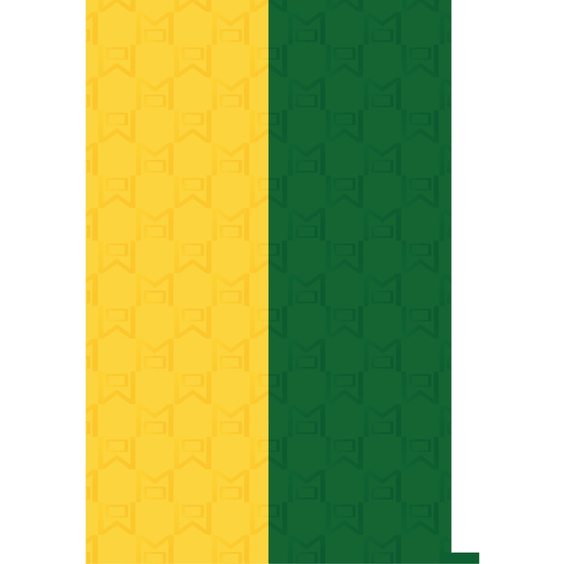 Manchester United Newton Heath Retro 1992 - 1994 Yellow and Green Halves.png