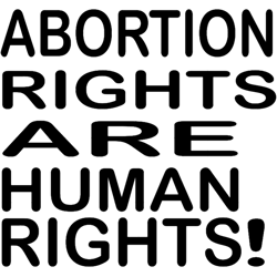 abortion rights are human rights , cm punk , pro choice , my body my choice, aborti
