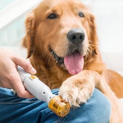 premium painless nail clipper for pets - all size dogs