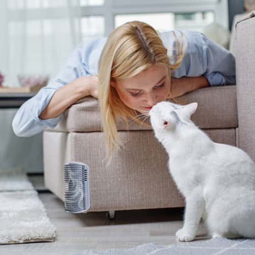 Cat Self Groomer Brush