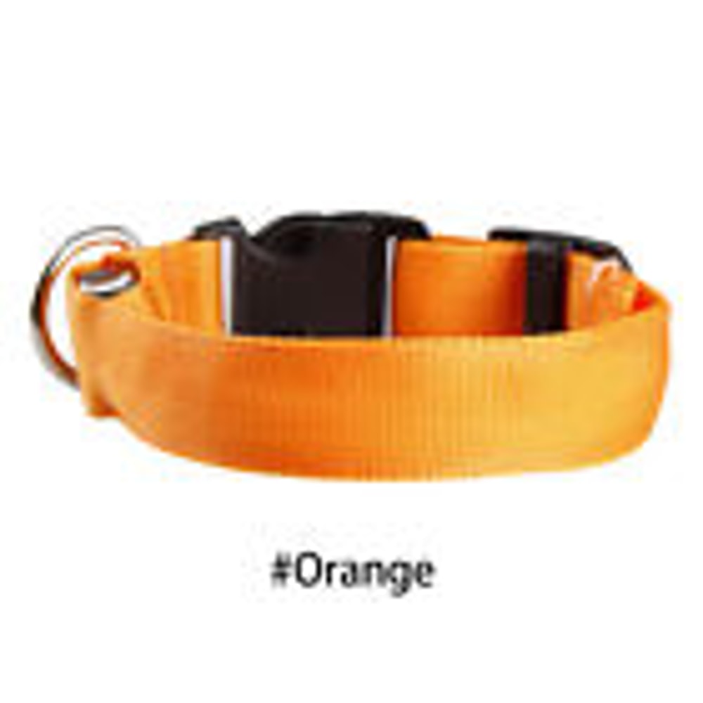 Battery Powered Luminous Dog Collar