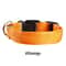Battery Powered Luminous Dog Collar