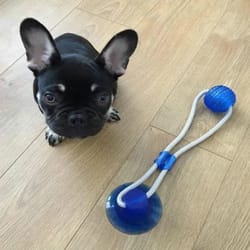 dog suction cup toy