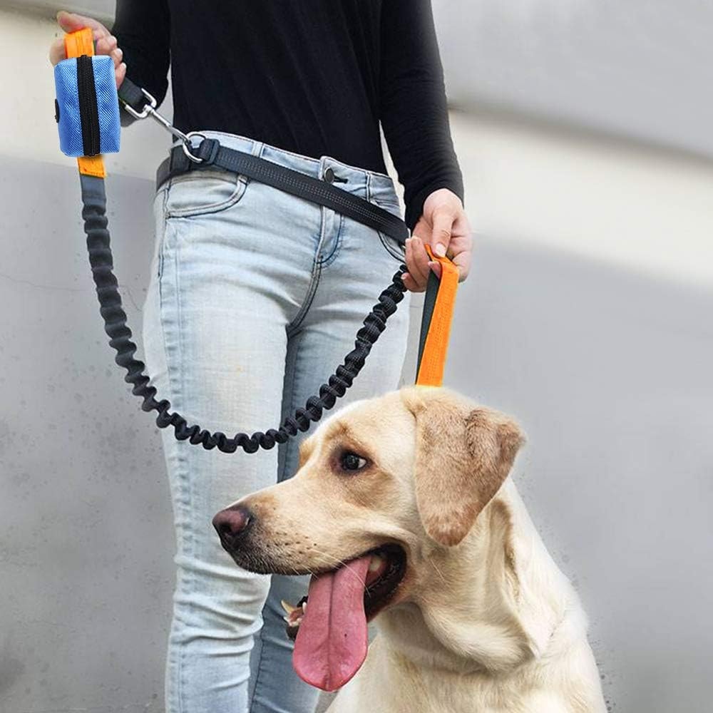 Buy LeakProof Biodegradable Poop Bags with Holder