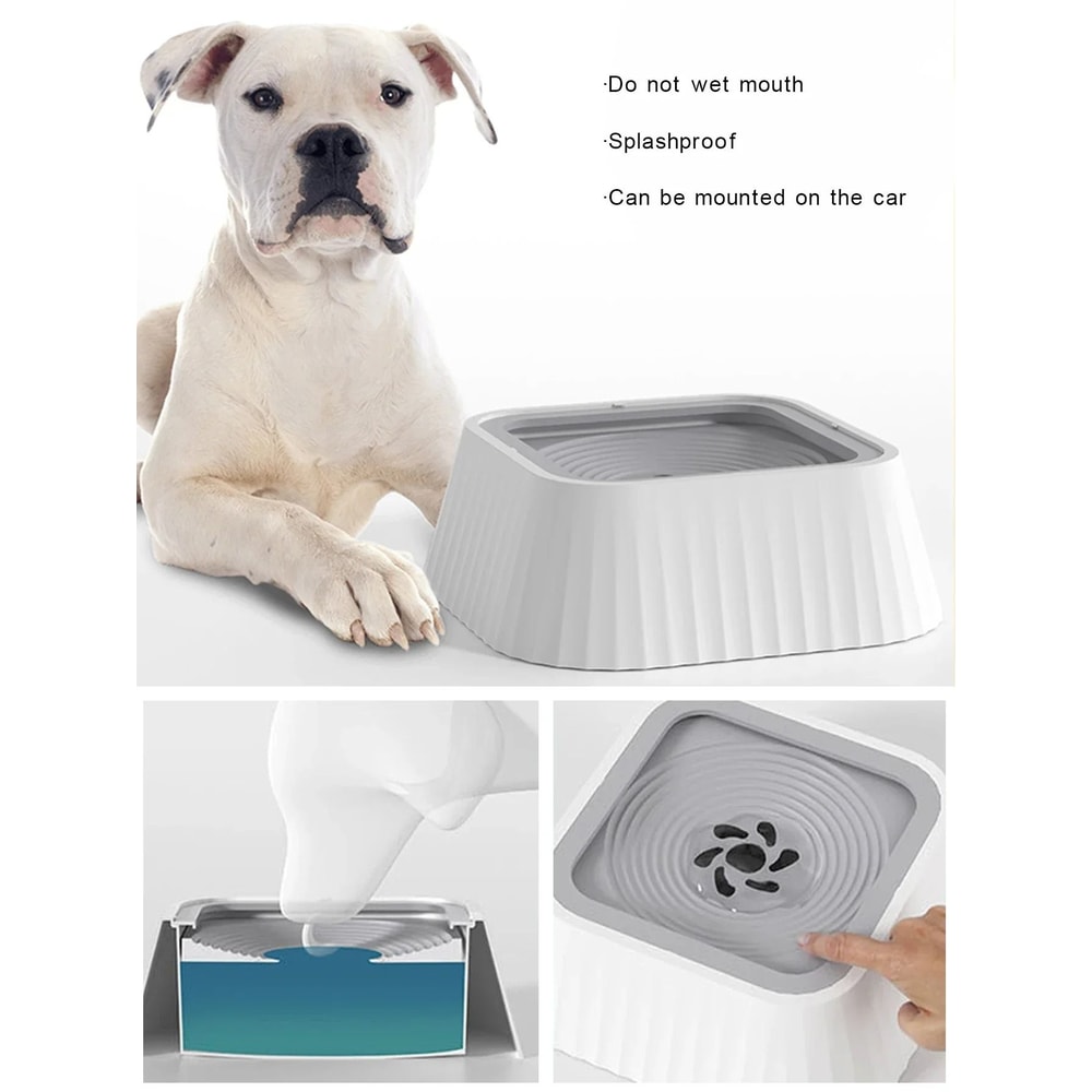 Slow feeder water bowl for dogs