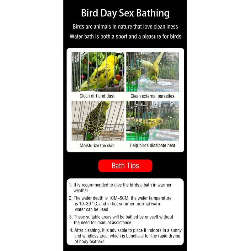 Parrot Bath Box Parakeet Shower Caged Hanging Bird Bath For Canaries Budgerigars And Pet Birds 13