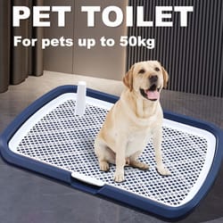 dog potty training toilet, reusable plastic pee pad holder with removable net for pets