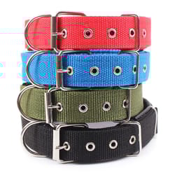 solid dog collars, durable nylon dog collar for dogs, fits teddy, keji, pitbull, bulldog, beagle