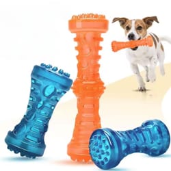 sturdy bite resistant dog toy toothbrush bone, interactive chew dental care for small medium large dogs puppy training