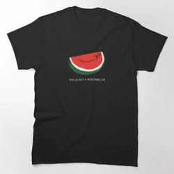 this is not a watermelon palestine t-shirt, free palestine free gaza palestine flag essential t-shirt, human rights swea