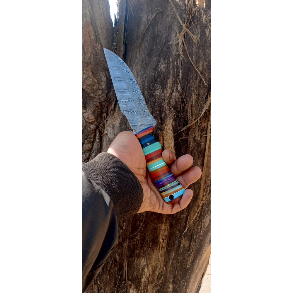 WhatsApp Image 2024-02-27 at 9.52.17 PM.jpeg