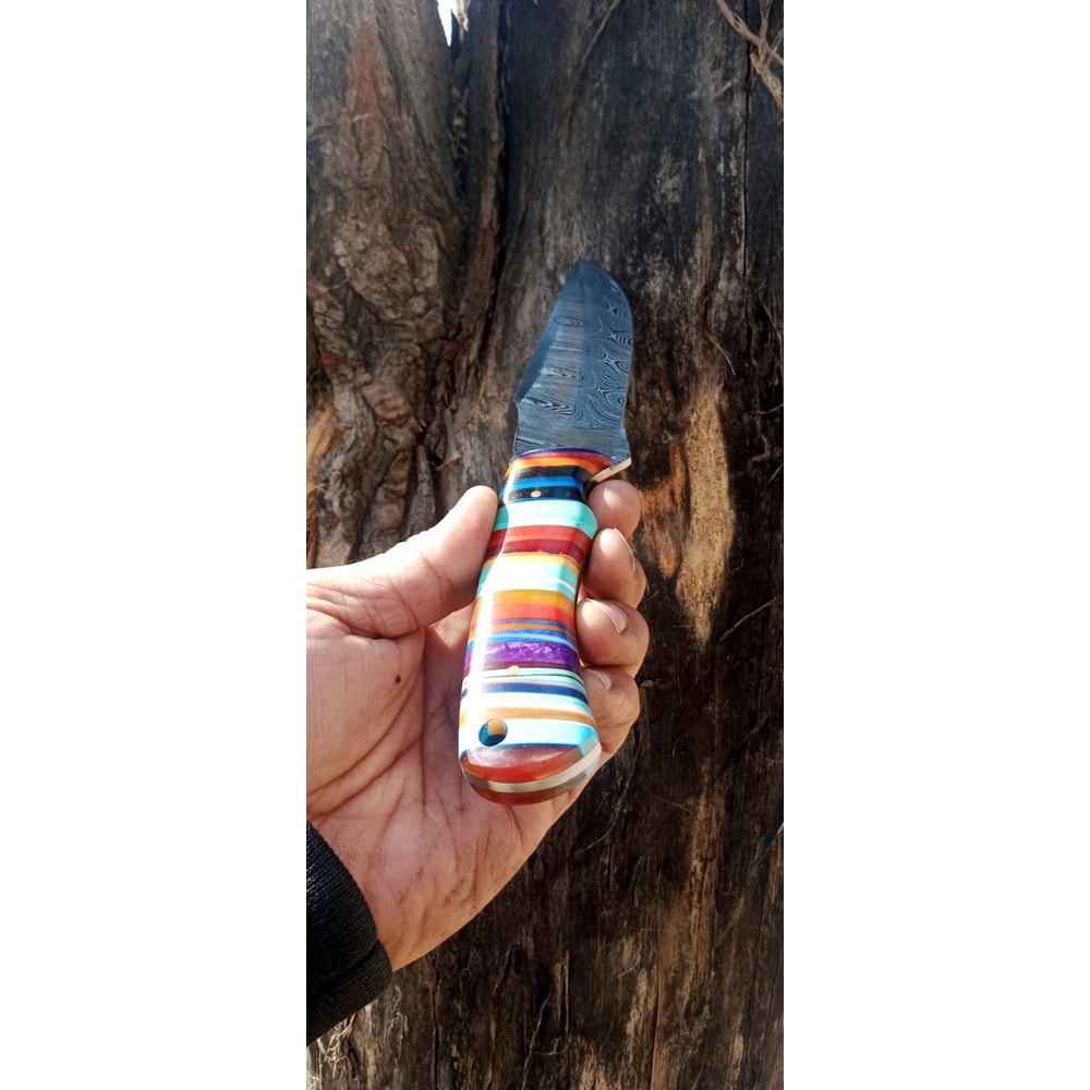 WhatsApp Image 2024-02-27 at 9.52.18 PM.jpeg