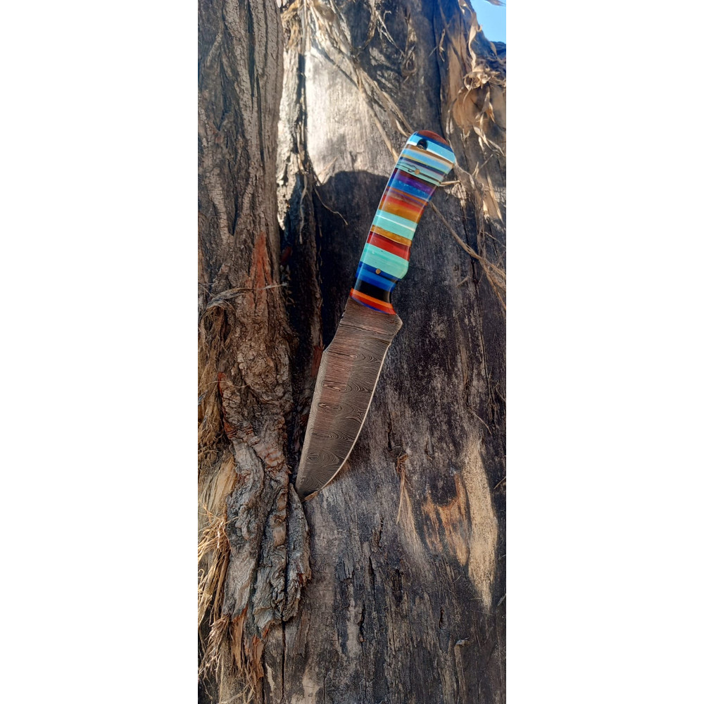 WhatsApp Image 2024-02-27 at 9.54.28 PM.jpeg