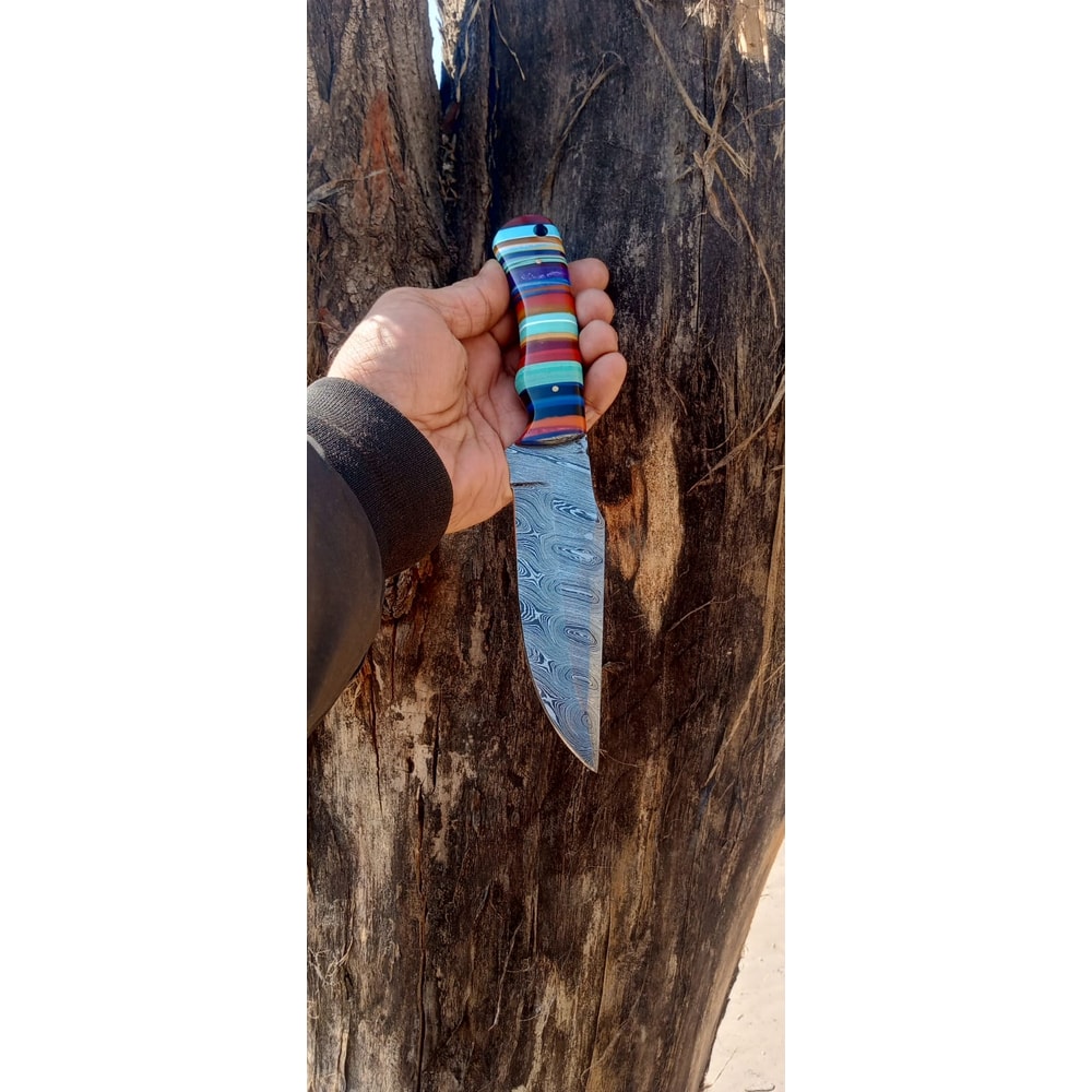 WhatsApp Image 2024-02-27 at 9.54.29 PM.jpeg