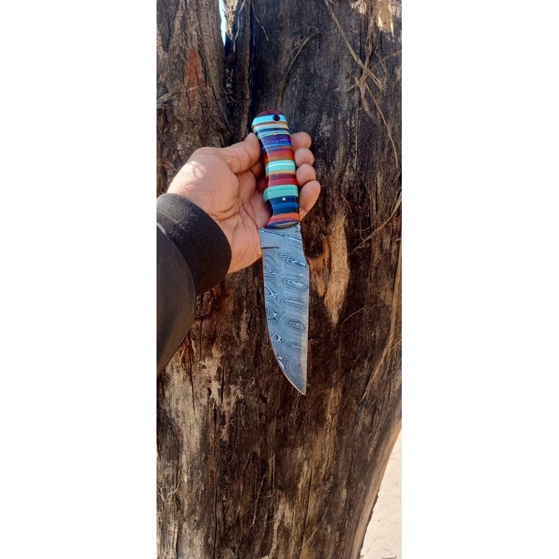 WhatsApp Image 2024-02-27 at 9.54.29 PM.jpeg