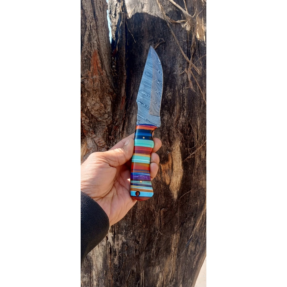 WhatsApp Image 2024-02-27 at 9.54.30 PM.jpeg