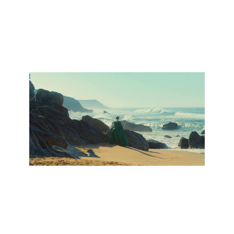 portrait of a lady on fire Long .png