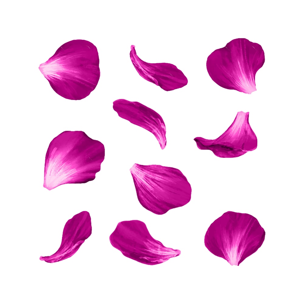 Pink Floral Petals Pattern.png