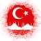 Istanbul Mosque Turkey Flag .png