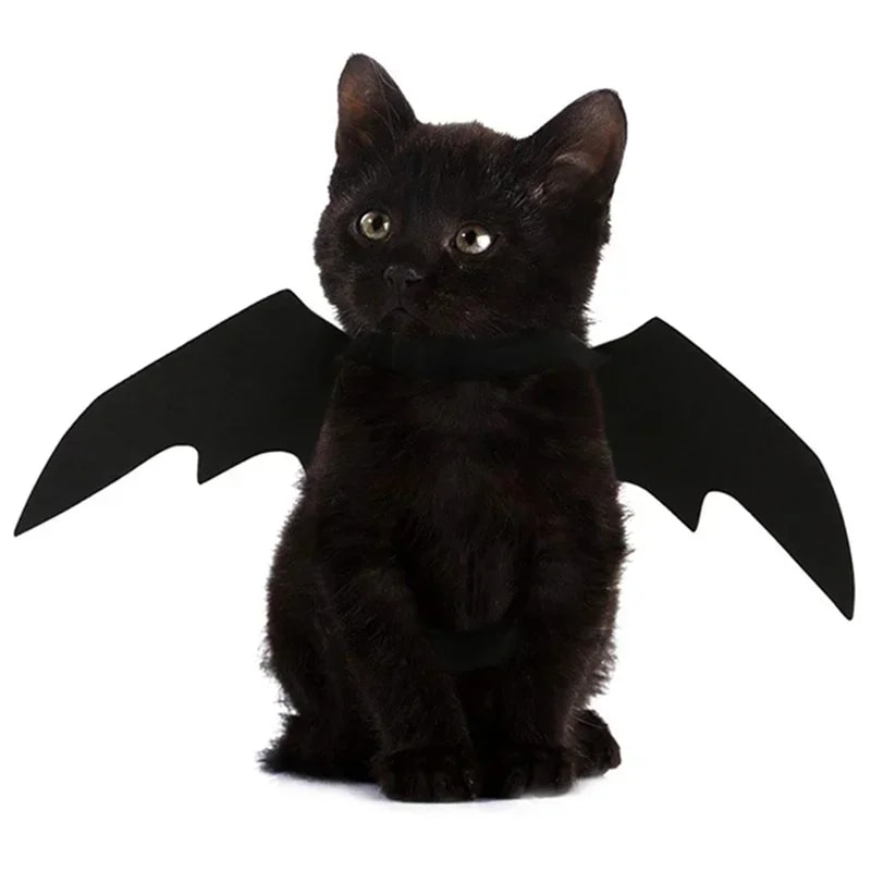 Cosplay Cat And Dog Outfit Black Bat Wings Creative Cute Pet Clothes Party Costume 1
