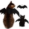 Cosplay Cat And Dog Outfit Black Bat Wings Creative Cute Pet Clothes Party Costume 3