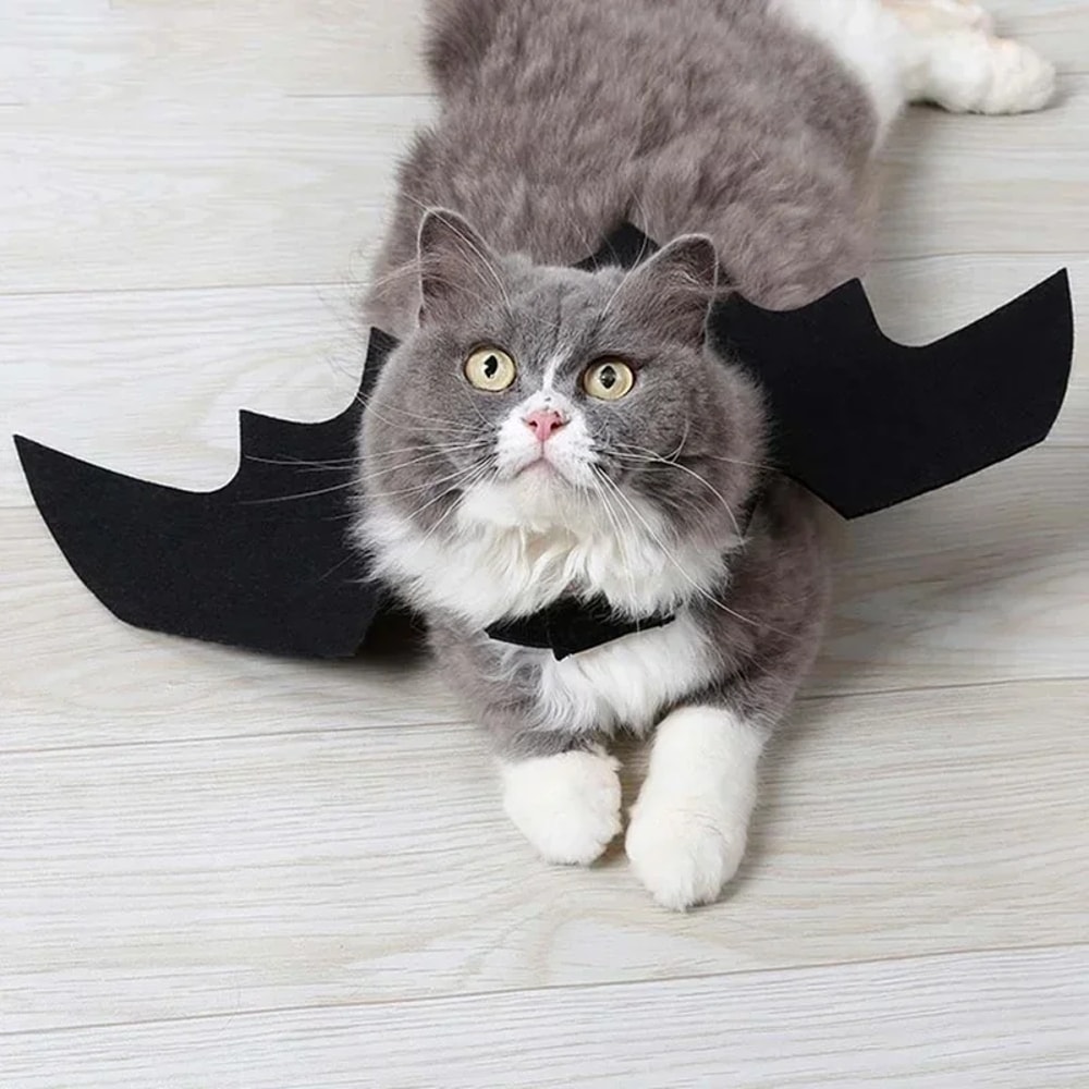 Cosplay Cat And Dog Outfit Black Bat Wings Creative Cute Pet Clothes Party Costume 4