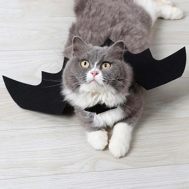 Cosplay Cat And Dog Outfit Black Bat Wings Creative Cute Pet Clothes Party Costume 4