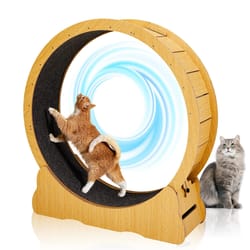 large cat treadmill for natural wood running wheel indoor exerciser toy