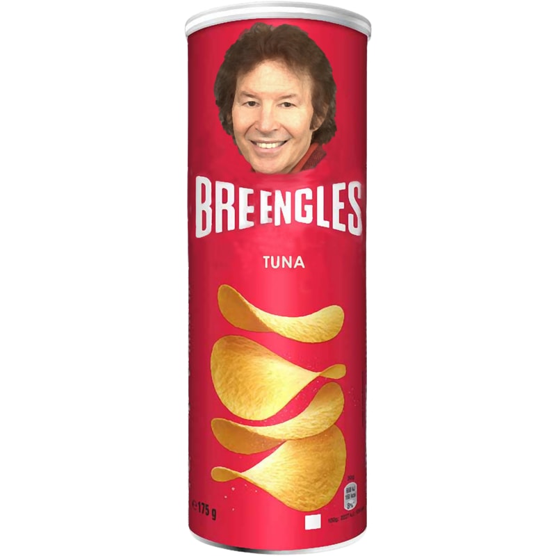 A Can of Breengles (Tuna Flavor) - NEIL BREEN - Breen_s Corrupt Merchandise.png