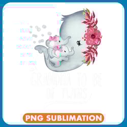 grandma to be of twins twin baby girls elephant baby shower png