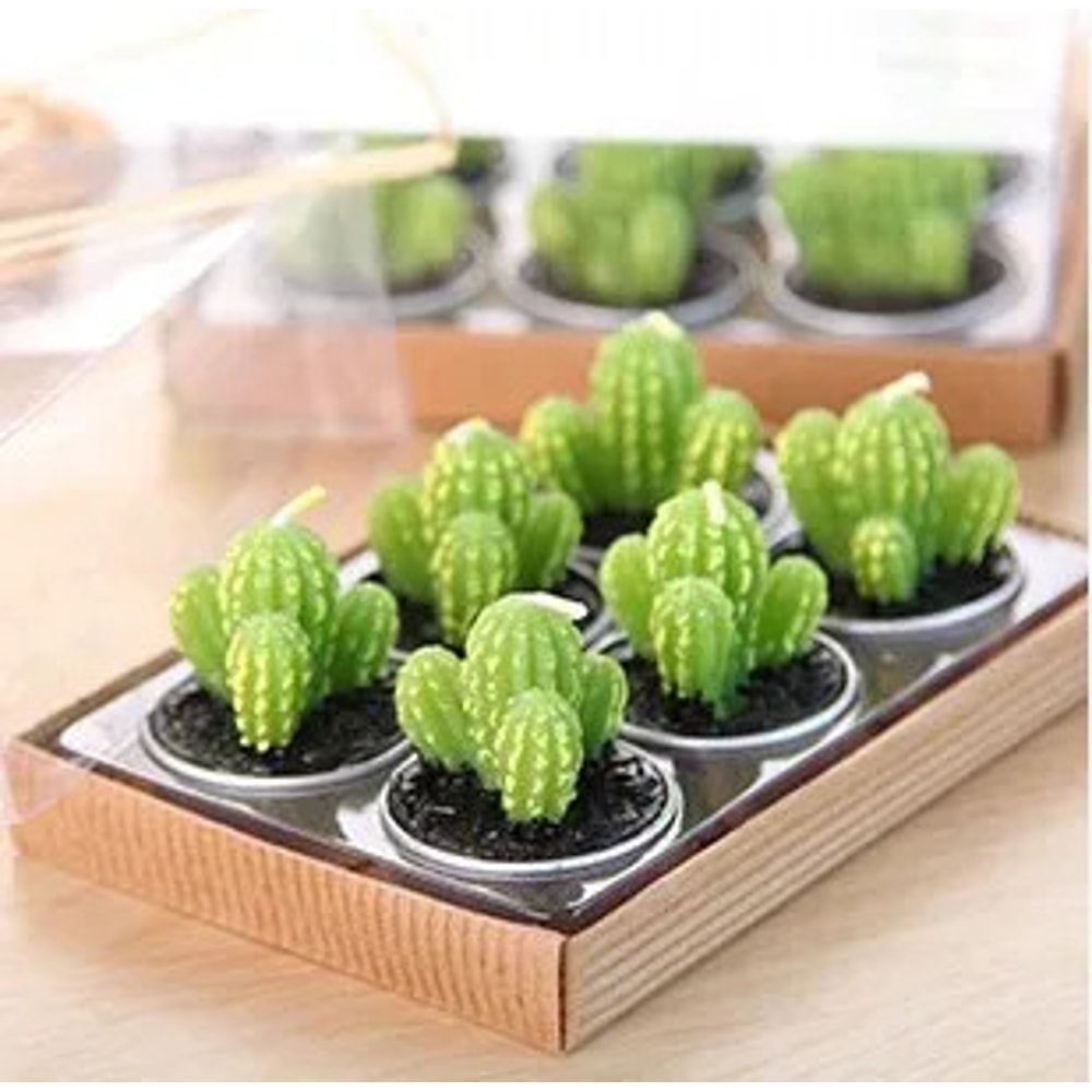 Mini Cactus Candles
