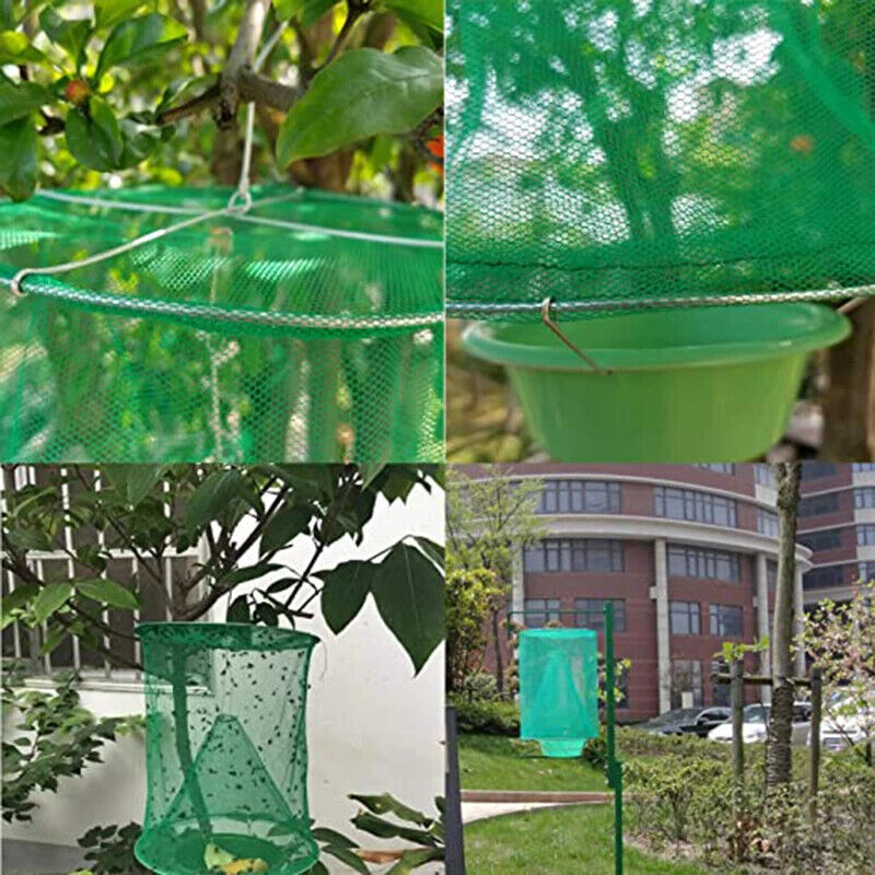 Portable Nontoxic Fly Mosquito Trap 2